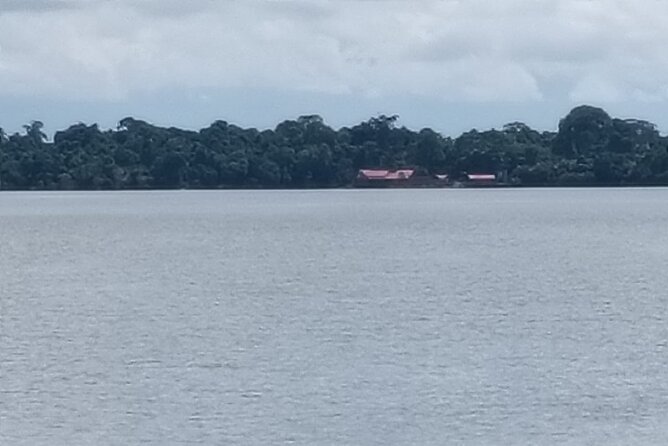 Orangutan Island, A Responsible Wildlife Sanctuary Experience - What to expect from the pacing: a single-stop mission done well