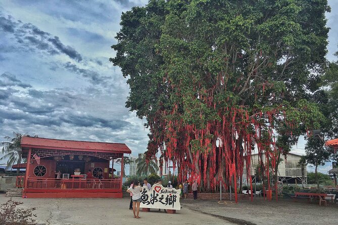 Paddy Field, Fishing Village Sekinchan DAY Tour Lunch (SIC-Shared/Join In Tour) - Paddy fields in Sekinchan: the best season matters more than you think