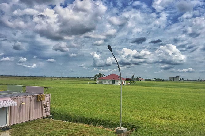 Paddy Field, Fishing Village Sekinchan DAY Tour Lunch (SIC-Shared/Join In Tour) - Rice mill visit: learning what you’re actually looking at