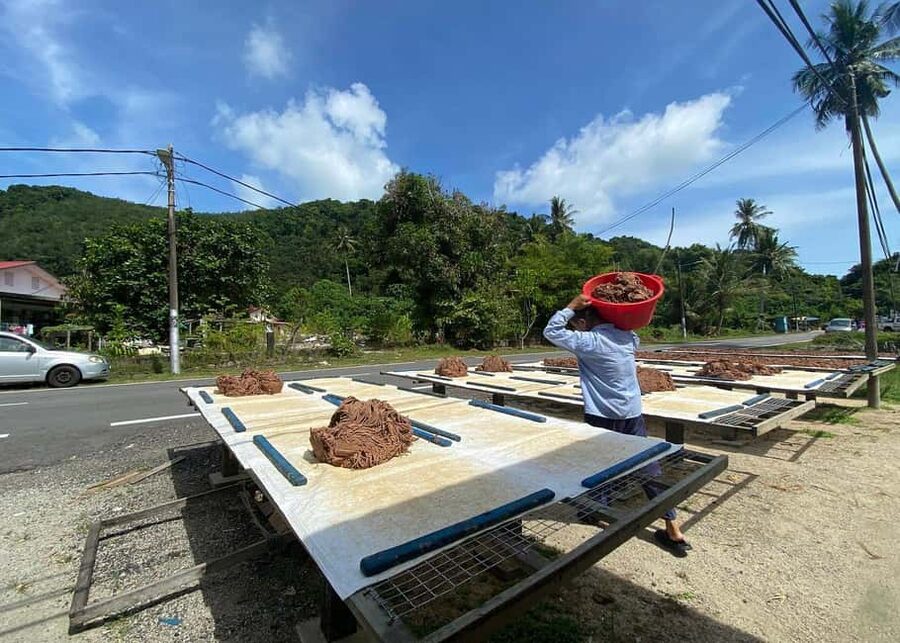 Penang: Balik Pulau Culture Experience & Village Tour - Nutmeg and Shrimp Paste Factories: The Real-Smell Part of Penang