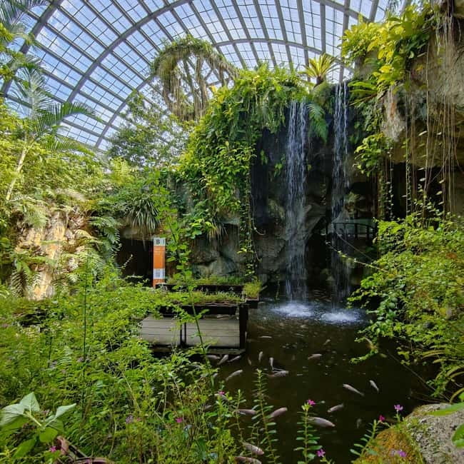 Penang: Entopia General Admission Tickets - Guided Tours, Workshops, and Scheduled Learning at No Extra Charge