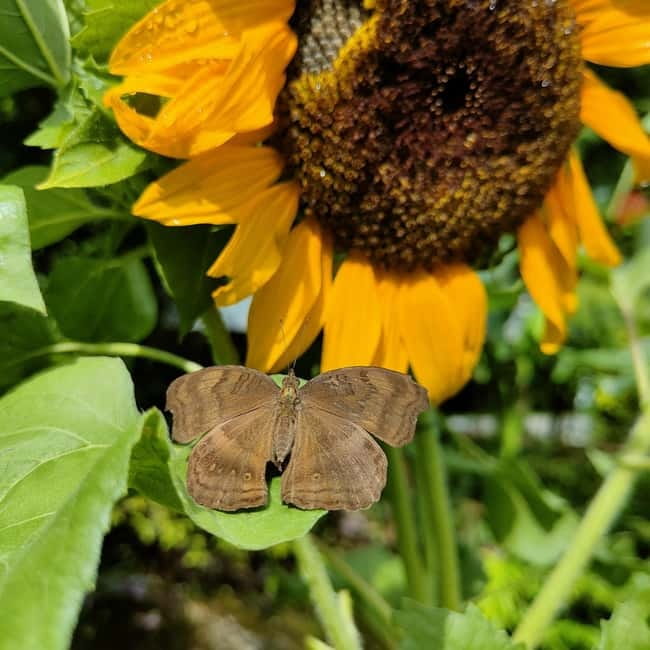 Penang: Entopia General Admission Tickets - On-Site Food and Souvenir Shopping for a Full-Day Feel