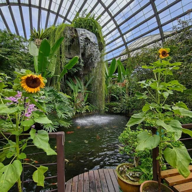 Penang: Entopia General Admission Tickets - Who Entopia Is Best For (And Who Might Wait)