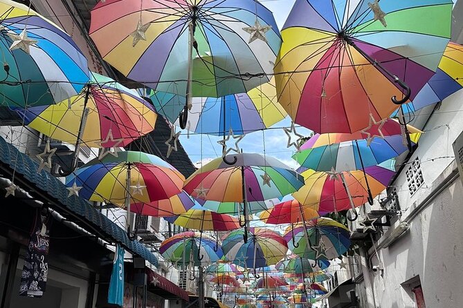 Penang Exciting Local Full Day Private Tour 8 Hours - How the Custom Planning Actually Helps