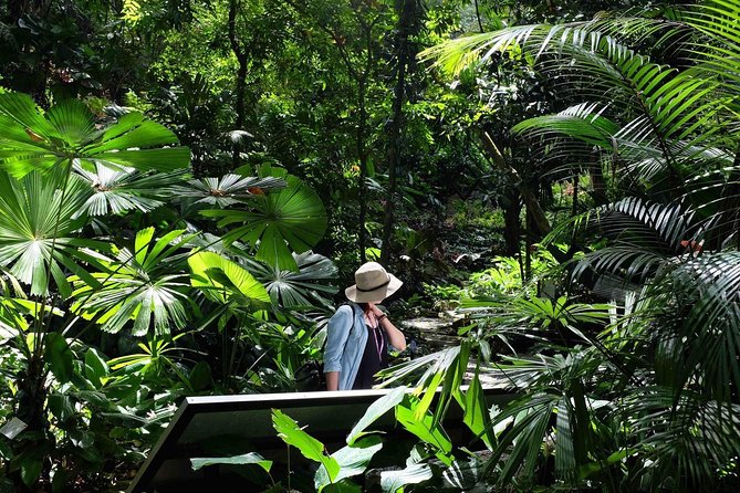 Penang Half Day City Tour Including Tropical Spice Garden - Why this George Town half-day mix makes sense