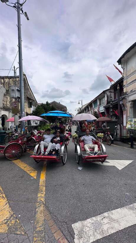 Penang: Penang Island Full-Day Private Tour - George Town UNESCO sights and street art, the easy win