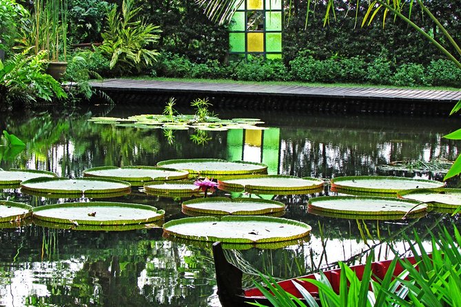 Penang Round Island Tour With Tropical Spice Garden & Entopia Butterfly Farm - A half-day round-island plan that keeps things simple
