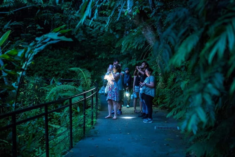Penang: The Habitat Penang Hill Entry Ticket - Key highlights you should not miss