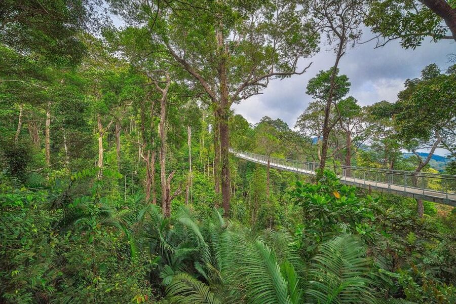 Penang: The Habitat Penang Hill Entry Ticket - Ticketing, where to redeem, and how to start your walk smoothly