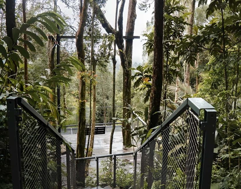 Penang: The Habitat Penang Hill Entry Ticket - The canopy bridge, walking Malaysia’s longest two-span span over the trees