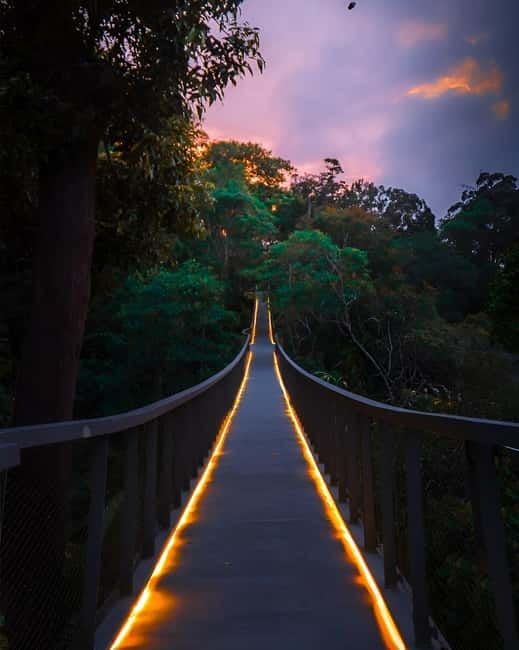 Penang: The Habitat Penang Hill Entry Ticket - Wildlife spotting in the UNESCO biosphere reserve, what to actually look for