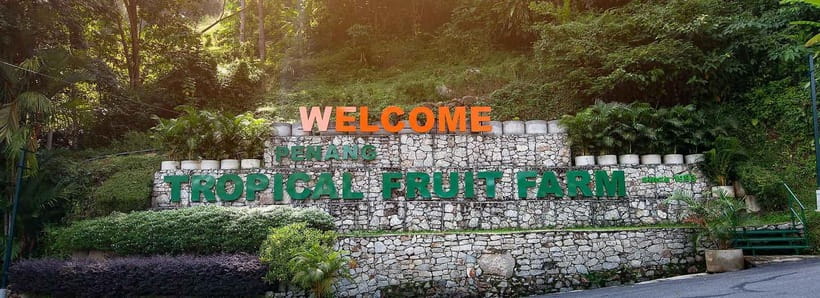 Penang: Tropical Fruit Farm Ticket - The 30-minute guided farm tour, and what makes it worth your time