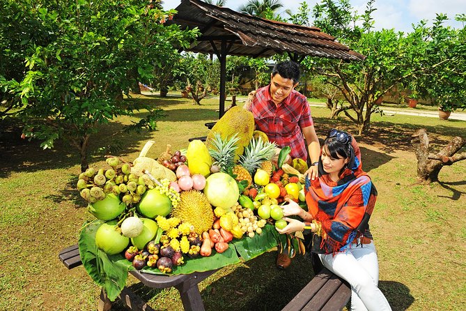 Penang Tropical Fruit Farm with Fruit Tasting - What happens during the roughly 3-hour experience