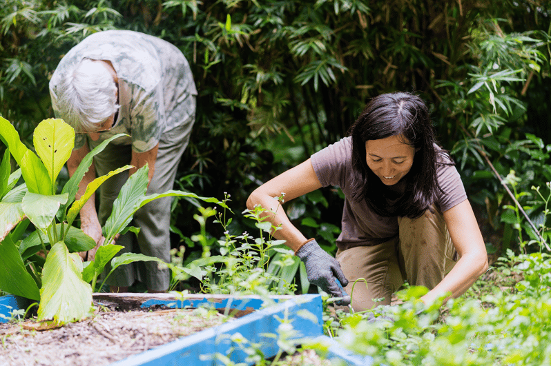 Penang: Tropical Spice Garden Entrance Ticket & Guided Tours - Key Highlights Worth Your Time