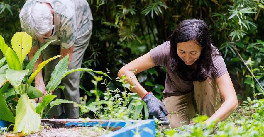 Penang: Tropical Spice Garden Entrance Ticket & Guided Tours - Audio Guide Languages and Why They Matter for Your Day