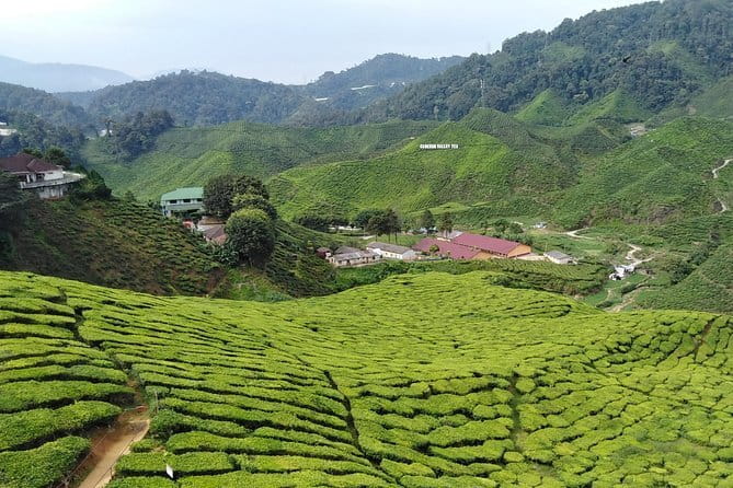 Private: Cameron Highlands 2 days 1 night Trip - Key Highlights You’ll Actually Use