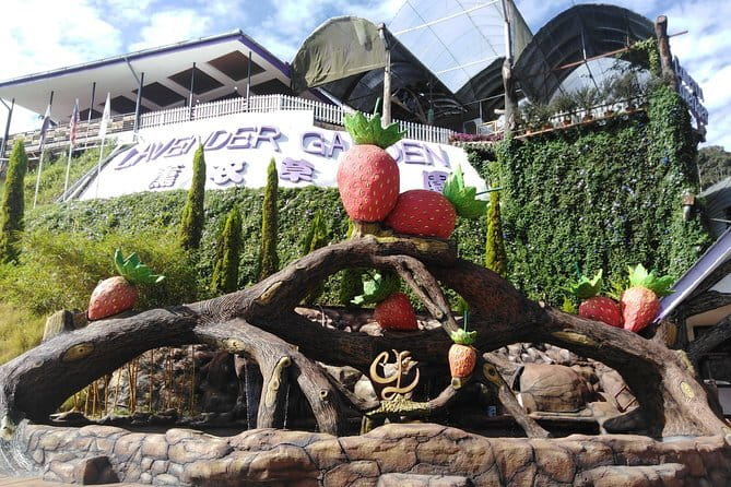 Private: Cameron Highlands 2 days 1 night Trip - Price and Value: What $218.54 Really Covers