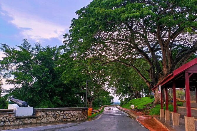 Private Fireflies Tour with Blue Tears and Seafood Dinner - Timing That Actually Works: 4:30 pm to Nightfall