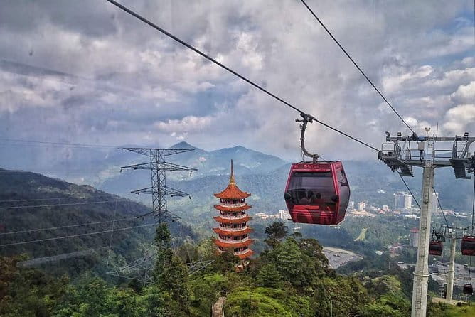 Private Fireflies Tour with Blue Tears and Seafood Dinner - Price and value: is $80 per person worth it?