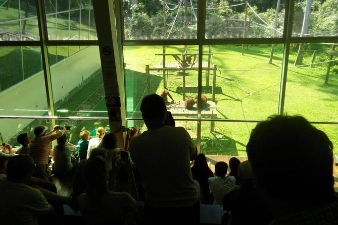 Private Full Day Sepilok Orang Utan, Bornean Sun Bear and Rainforest Discovery Center Tour - How the private day runs from 8am pickup to three rainforest centers