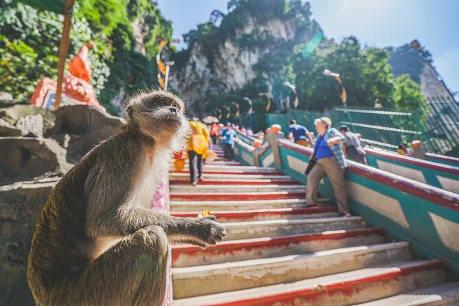Private Half-Day Batu Caves and Cutural Tour in Kuala Lumpur - Practical tips for a smoother, less-stress day