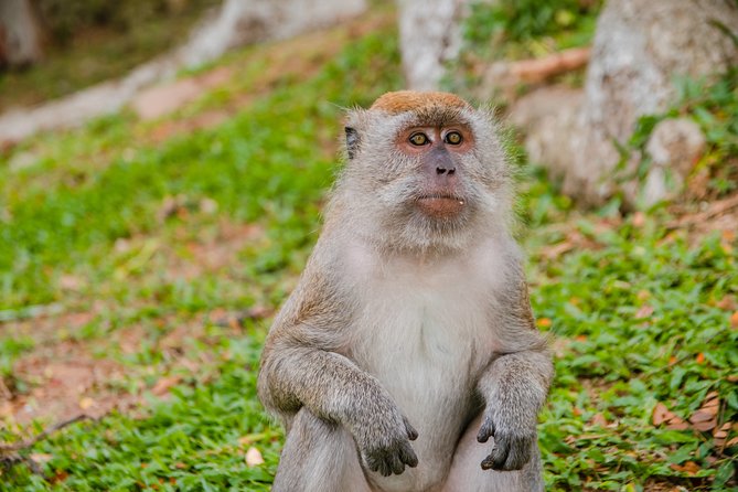 Private Kanching Waterfalls with Batu Caves & Ramayana Caves Tour - Ramayana Cave: A Lit Story Room in the Batu Caves Area