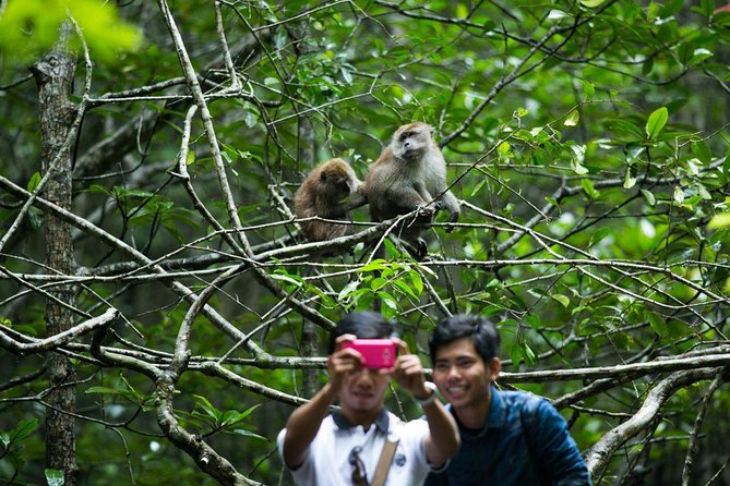 Private Mangrove Tour 3 Hour (max 8 People) - Key things I’d get excited about