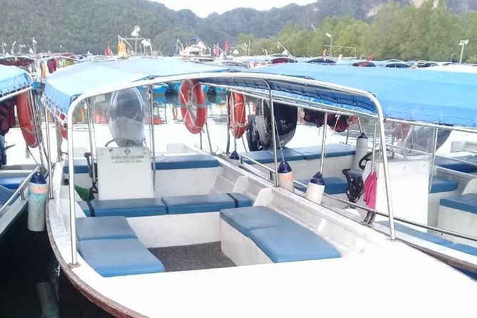 Private Mangrove Tour 3 Hour (max 8 People) - Fish feeding at Dangli Island: the moment most people remember