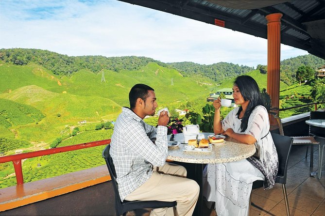 Private Nature Trip to Cameron Highlands from Kuala Lumpur - Strawberry Farm and Fresh-Pick Experience