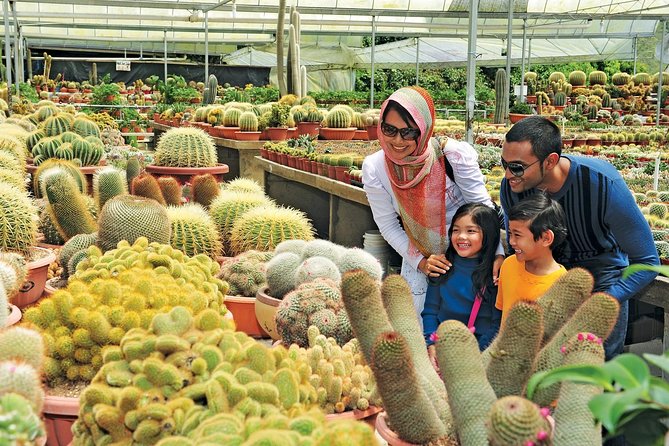 Private Nature Trip to Cameron Highlands from Kuala Lumpur - Butterfly and Insect Garden: A Family-Friendly Break