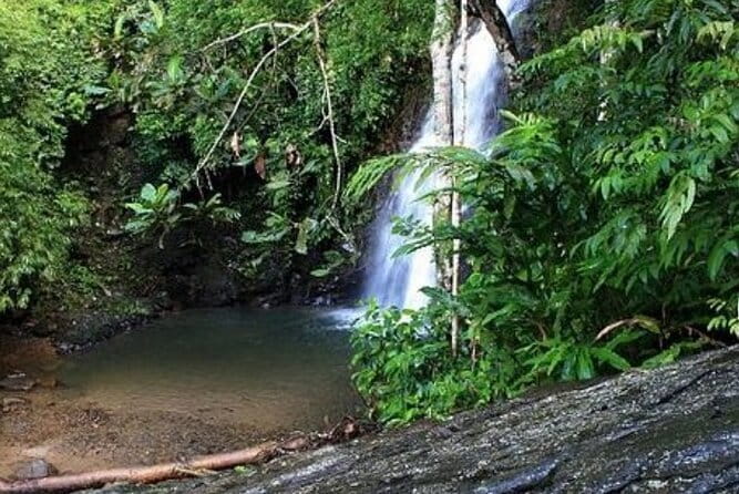Private One Day Highlights Langkawi Tour Including Cable Car And Sky Bridge - Sky Bridge walking access: what you get, and what you do not