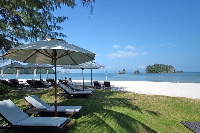 Private Tanjung Rhu Village and Mangroves by Boat in Langkawi - Hotel pickup and the 4-hour rhythm that works for tight schedules