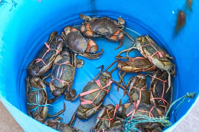 Private Tour: Crab Island Sightseeing Boat Ride and Seafood Lunch - Returning to Kuala Lumpur: the photo stops are short, so plan your shots