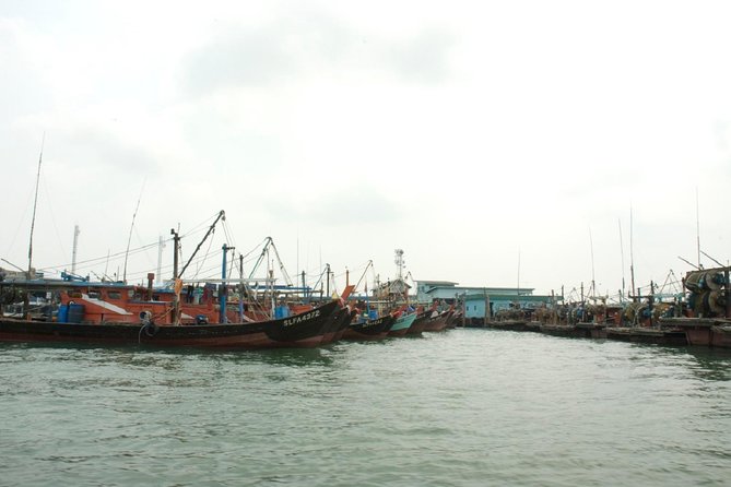 Private Tour: Crab Island Sightseeing Boat Ride and Seafood Lunch - Tips to make your Crab Island day smoother