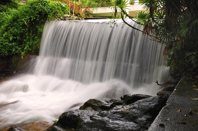 Private Tour: Full Day Center Penang Island Tour - A Full-Day Penang Loop Designed for First-Timers