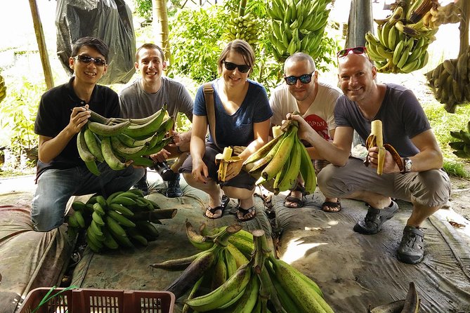 Private Tour: Ipoh Secrets Taiping Heritage & Orang Utan Island - Bukit Merah Orang Utan Island: the boat ride and the steel-fence tunnel