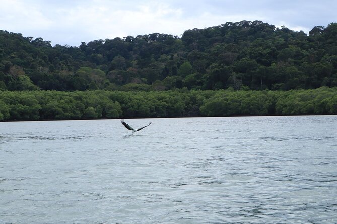Private Tour: Southern Island Geopark Tour from Langkawi - What is included, what is not, and how to pack smart