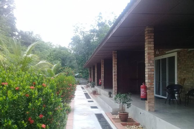 Private Transfer to Taman Negara from Kuala Lumpur - The 4-Hour Ride: Comfort, Safety, and What You Can Control