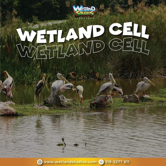 Putrajaya: Wetland Studios Admission Ticket - Best Fit: Who Will Enjoy Wetland Studios Most