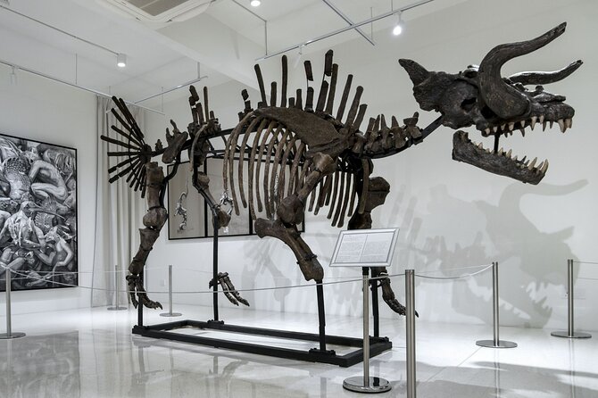 Quirky Art Museum called Ur-Mu in Bukit Bintang, KL - Who UR-MU is best for (and who might not love it)