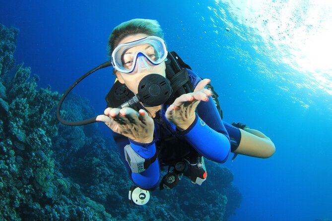 RAID Try-Dive Experience in Kota Kinabalu - Where You Meet, Board, and Get Set Up at Jesselton Point