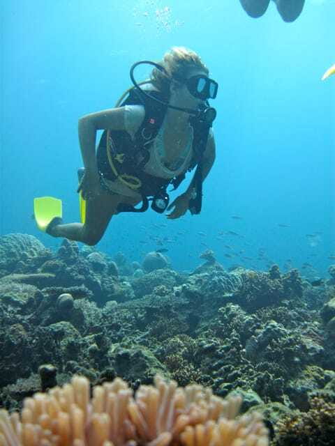 RAID Try-Dive in Kota Kinabalu, Sabah - Price and the real cost: $112 plus the permit math