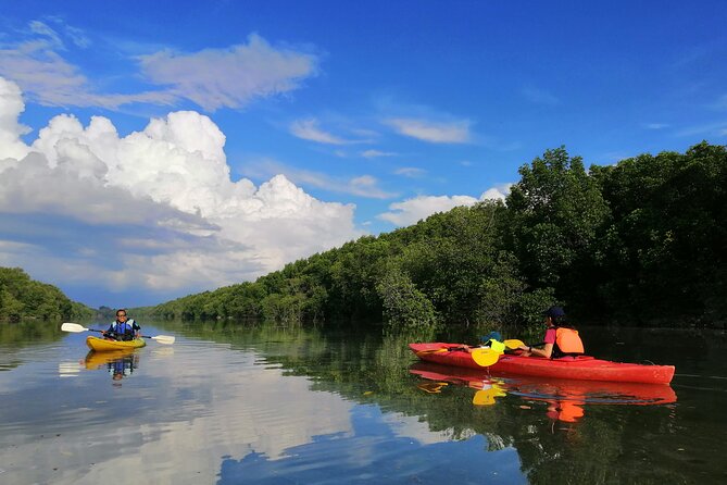 River Exploration and Mangrove Nature Tour by kayaking - Key Highlights You Should Know Before You Go