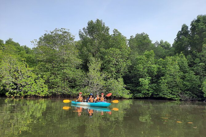 River Exploration and Mangrove Nature Tour by kayaking - Kayak the Sepang River Mangroves Instead of the Usual Boat Ride