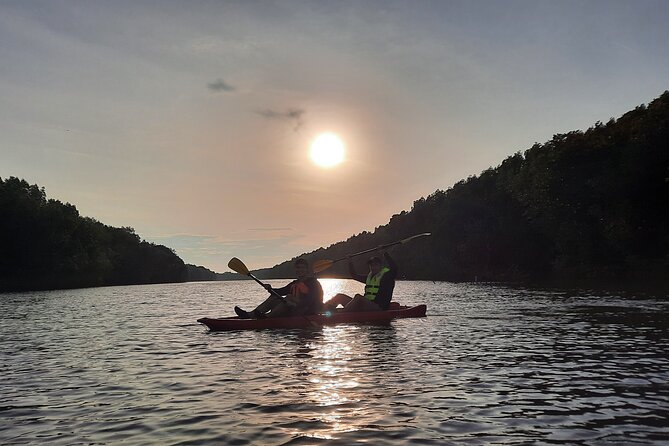 River Exploration and Mangrove Nature Tour by kayaking - Starting at the Fishing Jetty, Then Into Grovey Floating House