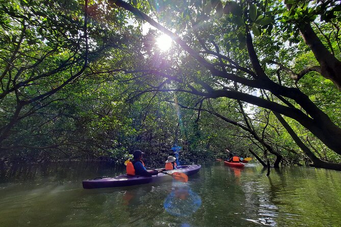 River Exploration and Mangrove Nature Tour by kayaking - Gear, Snacks, and Small Comforts That Matter