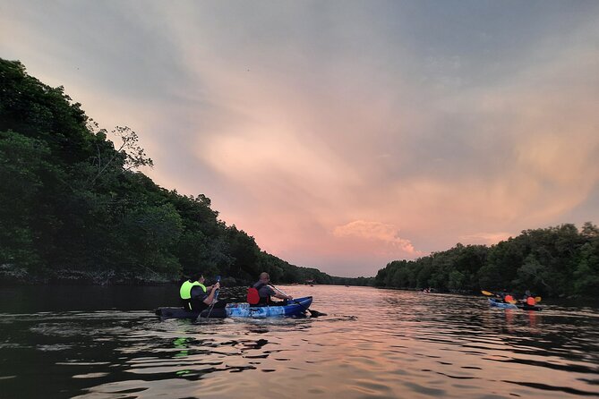 River Exploration and Mangrove Nature Tour by kayaking - What the Guide Adds, From Facts to Comfort