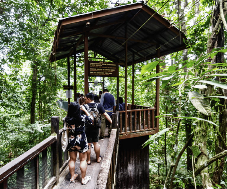 Sabah: Kinabalu Park, Hot Springs, and Cow Farm Day Tour - Desa Cattle Dairy Farm: Fresh Milk and Cheese Break