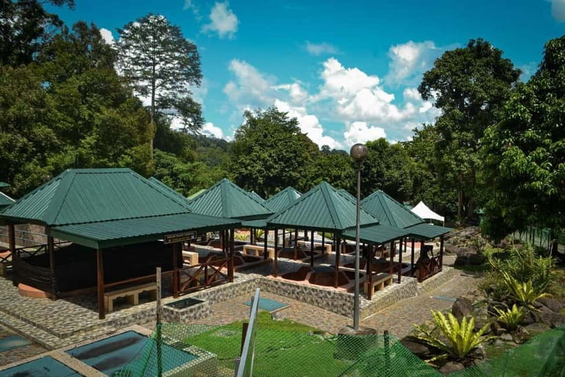 Sabah: Kinabalu Park, Poring Hot Springs & Desa Farm Tour - Getting picked up in Kota Kinabalu, and why shared tours move fast