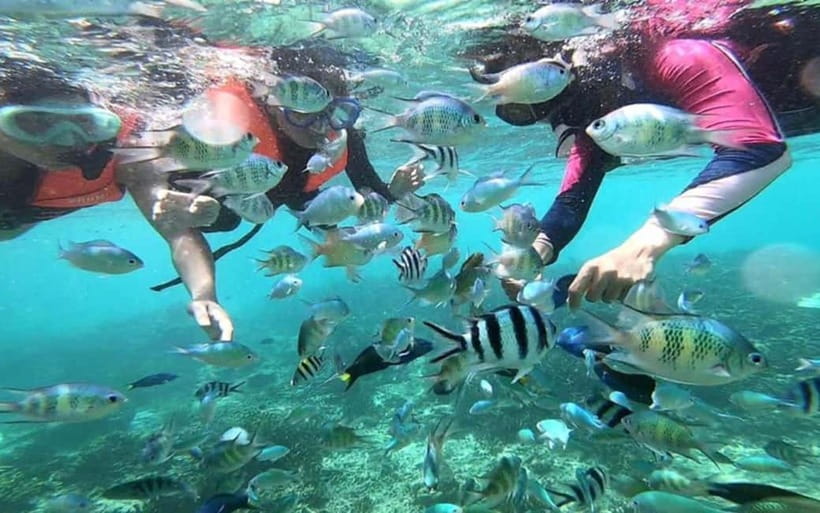 Sabah: Mantanani Island Day Tour with Lunch - The mainland to jetty journey, then the speedboat ride